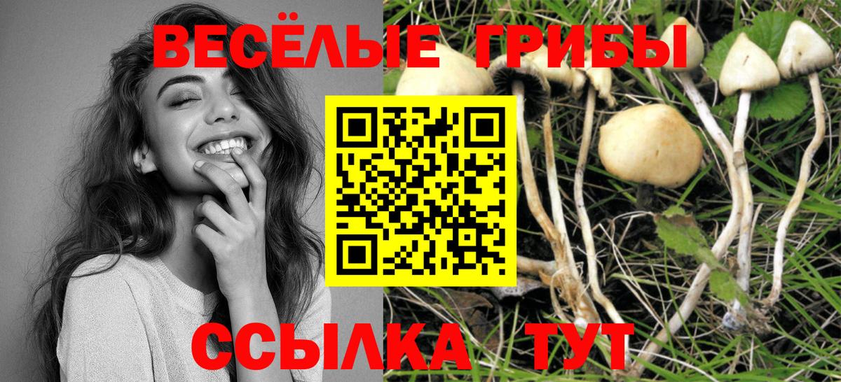 Псилоцибиновые грибы MAGIC MUSHROOMS  Псилоцибиновые грибы мицелий  Вход с VPN  Кореновск 